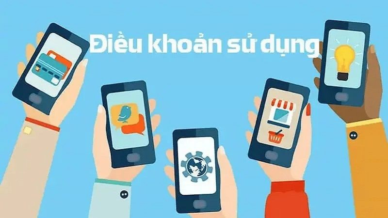Một số điều khoản tại sân chơi cá cược anh em bet thủ cần biết