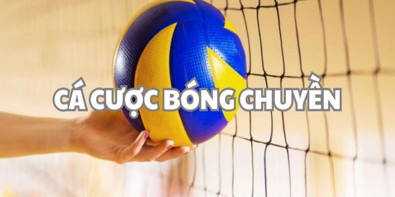 Nắm vững các quy định trong tham gia cá cược bóng chuyền