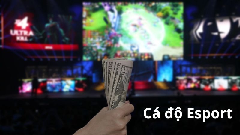Tổng quan về cá độ Esport